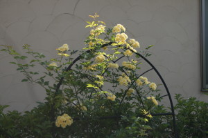 e0114977_20301550.jpg