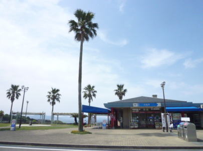 e0165577_11462269.jpg