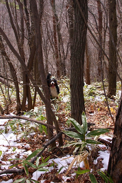 c0149178_19525415.jpg
