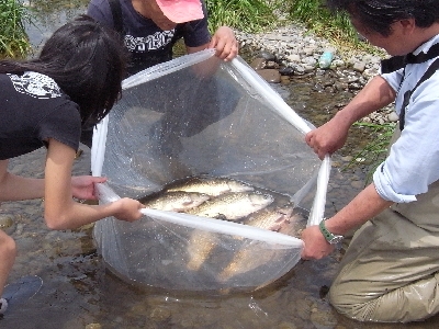c0091679_23353042.jpg