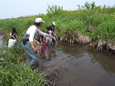 c0091679_233563.jpg