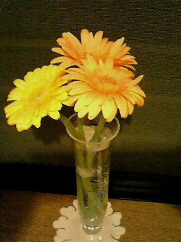 c0066080_2322456.jpg