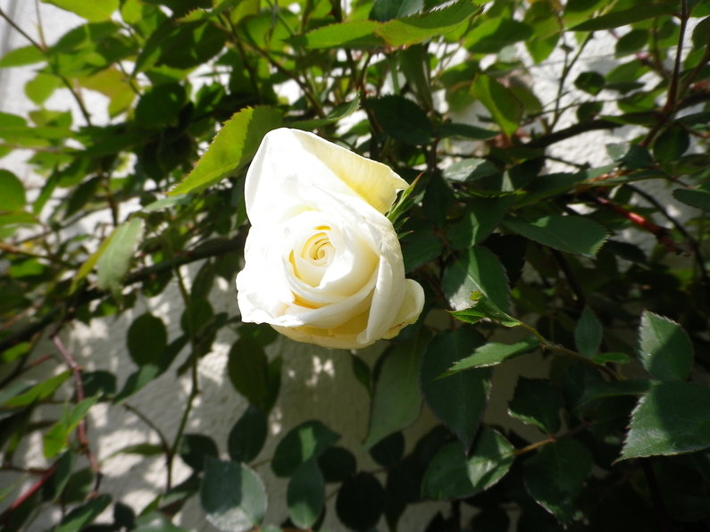 f0178381_23114969.jpg