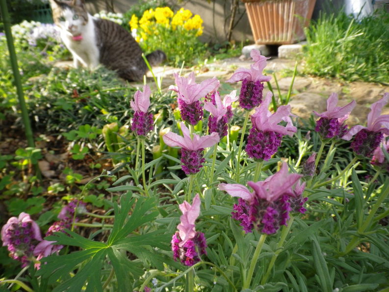 f0178381_2319914.jpg