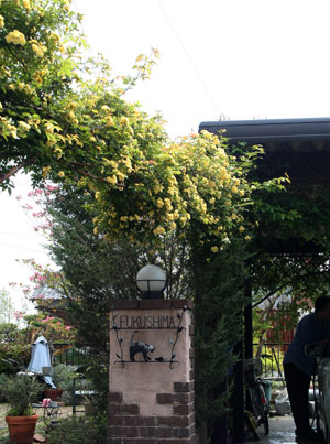c0045882_23533740.jpg