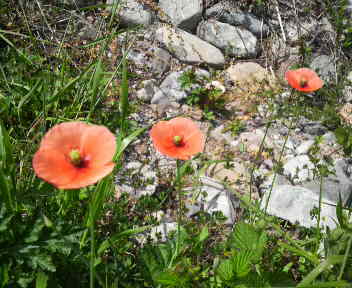 f0192582_21471189.jpg