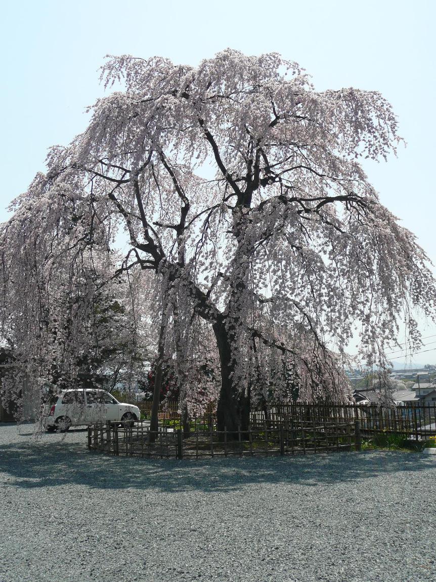 b0122485_1224774.jpg