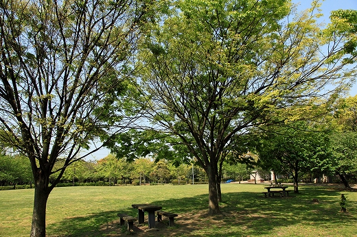 e0190885_1939384.jpg