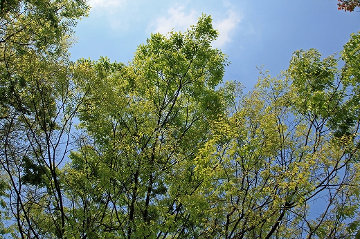 e0190885_19394752.jpg