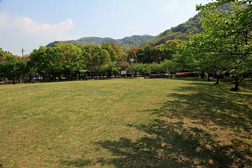 e0190885_19395454.jpg