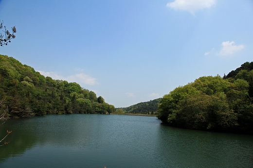 e0190885_19403546.jpg
