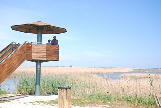 e0155786_5533742.jpg