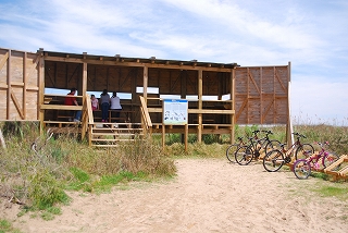 e0155786_554373.jpg