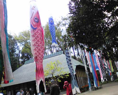 a0150589_232896.jpg
