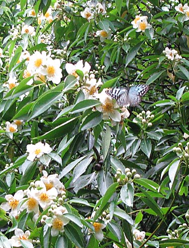 c0064389_19585222.jpg
