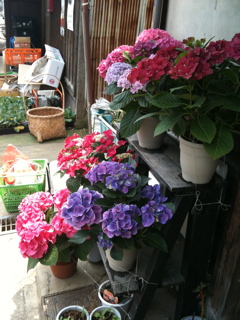 b0168490_21353872.jpg