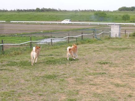c0123890_2115857.jpg