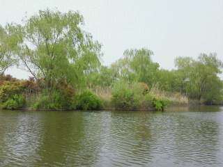 e0017290_10334994.jpg
