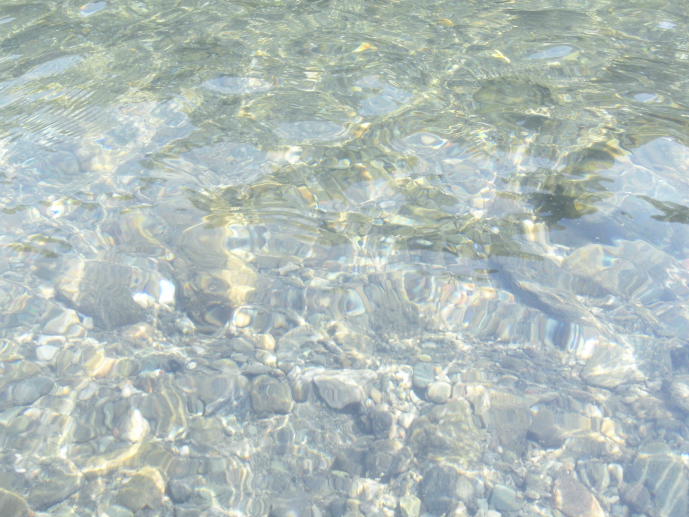 f0219195_11334332.jpg