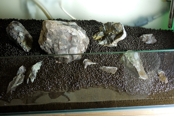 c0225297_4461736.jpg