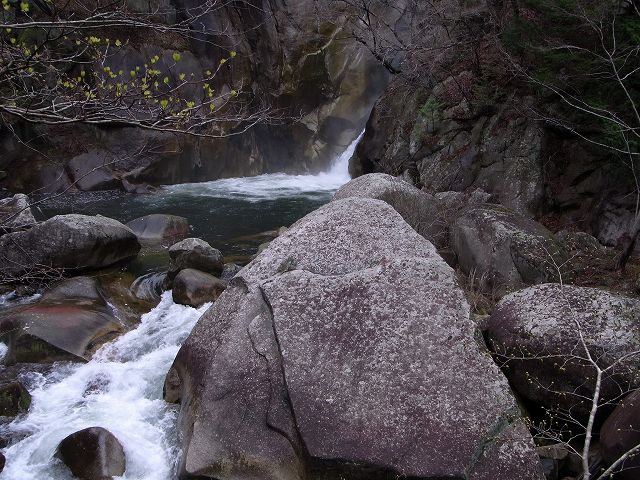 d0102497_18323535.jpg