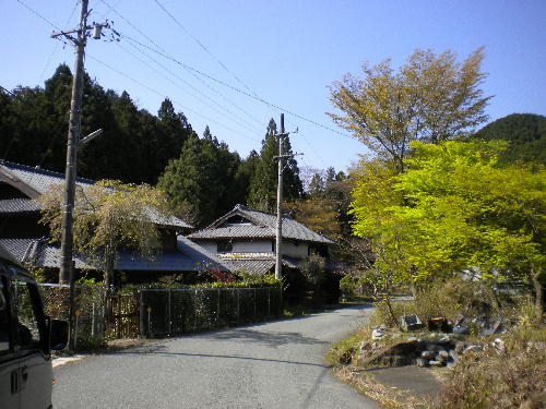 e0179098_1426179.jpg