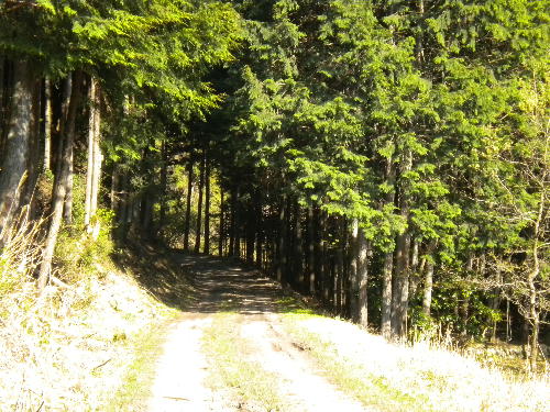 e0179098_14291941.jpg