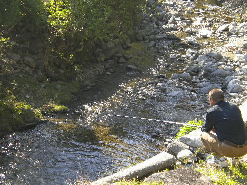 e0179098_1430077.jpg