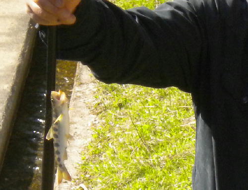 e0179098_14302972.jpg