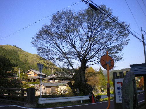 e0179098_1434199.jpg