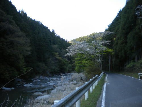e0179098_1436566.jpg