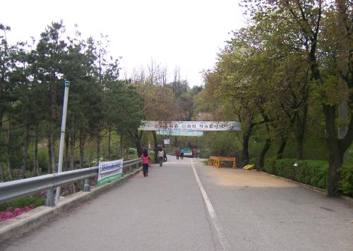 d0041400_21254962.jpg