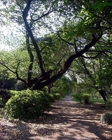 e0043700_21292564.jpg
