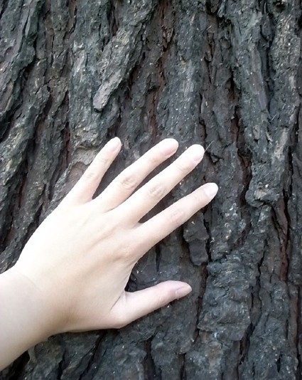 e0043700_2138550.jpg