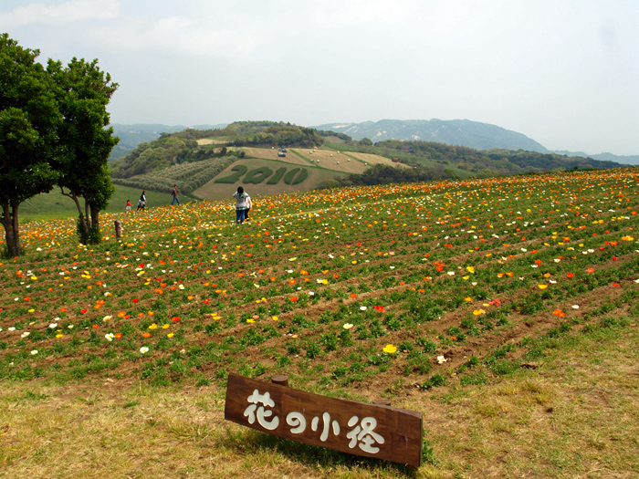 c0177502_20154380.jpg