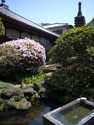 b0114403_751779.jpg