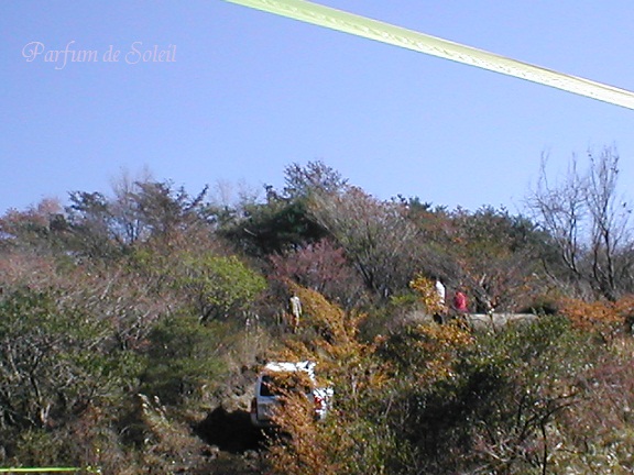 d0087503_15175794.jpg