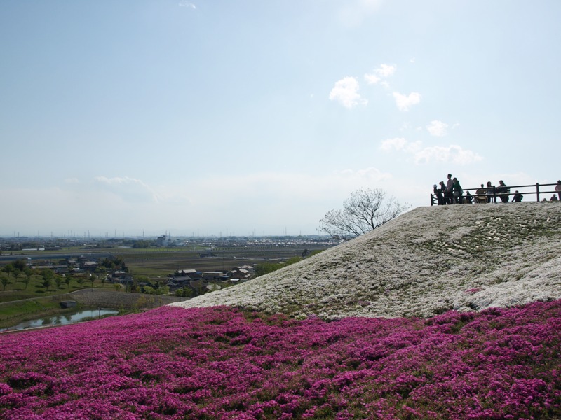 b0026408_12203430.jpg