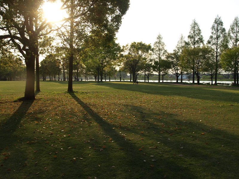 b0026408_123839100.jpg