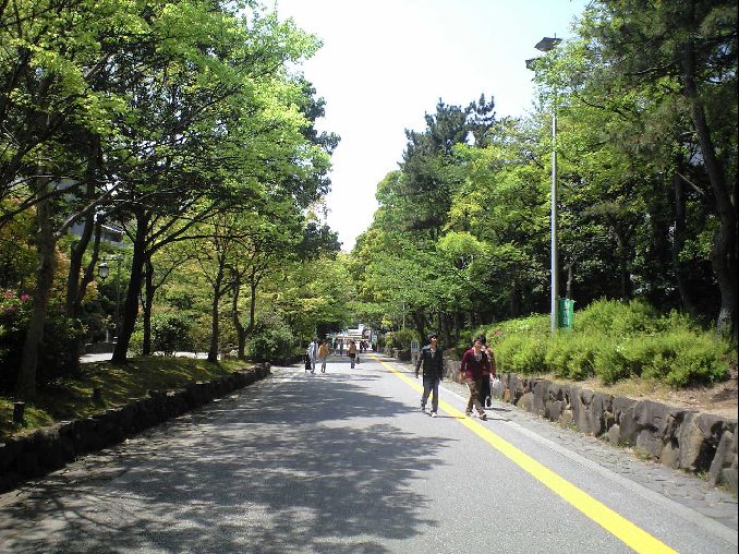 c0063108_2231980.jpg