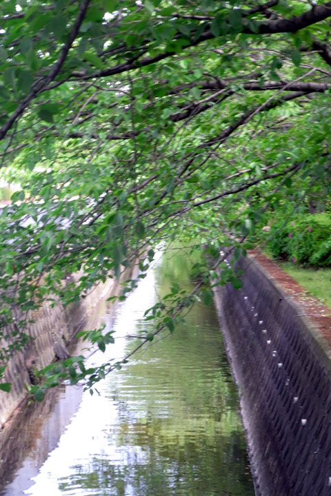e0083517_0453981.jpg