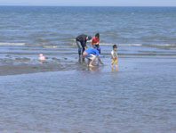 c0137720_950075.jpg