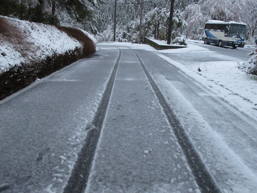 c0044021_8491725.jpg
