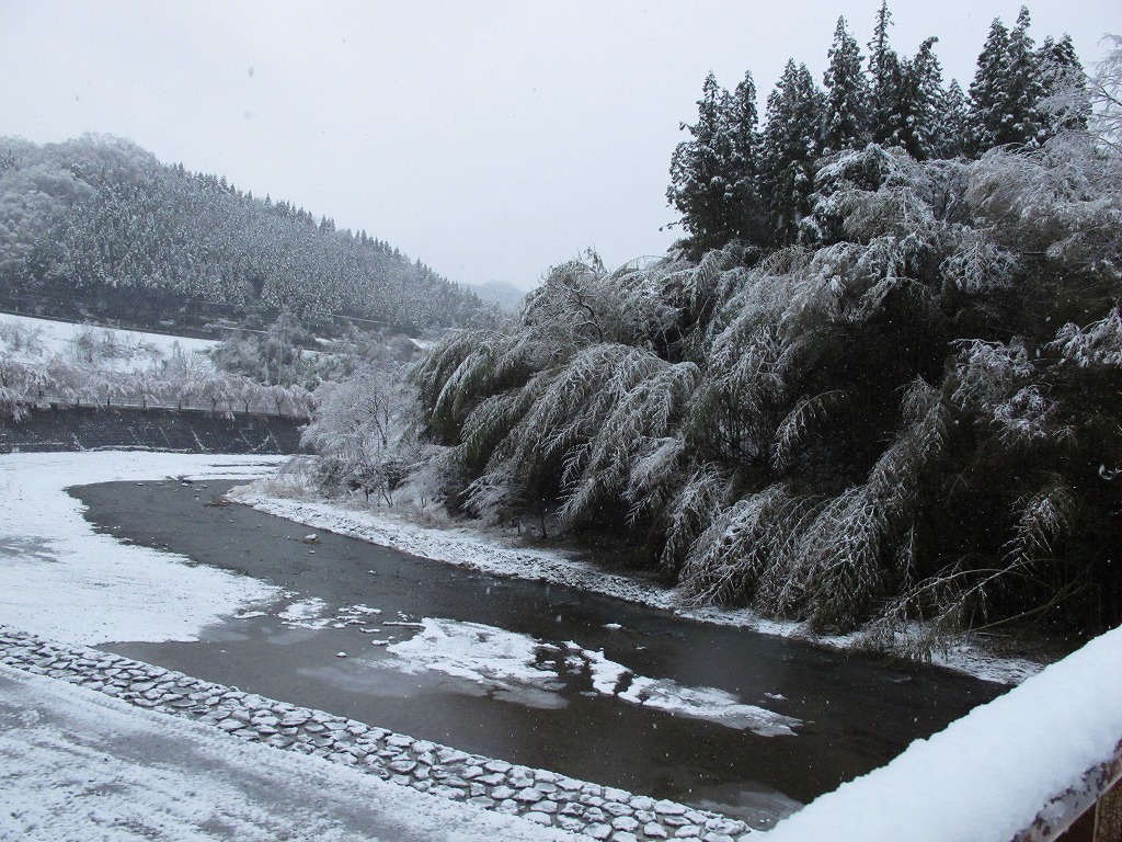c0044021_8494144.jpg