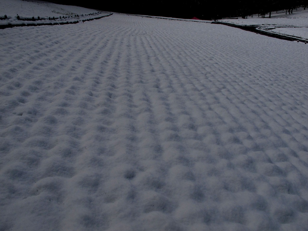c0044021_851435.jpg