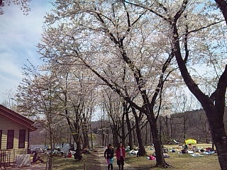 b0073322_2058330.jpg