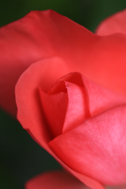 b0165522_2243644.jpg
