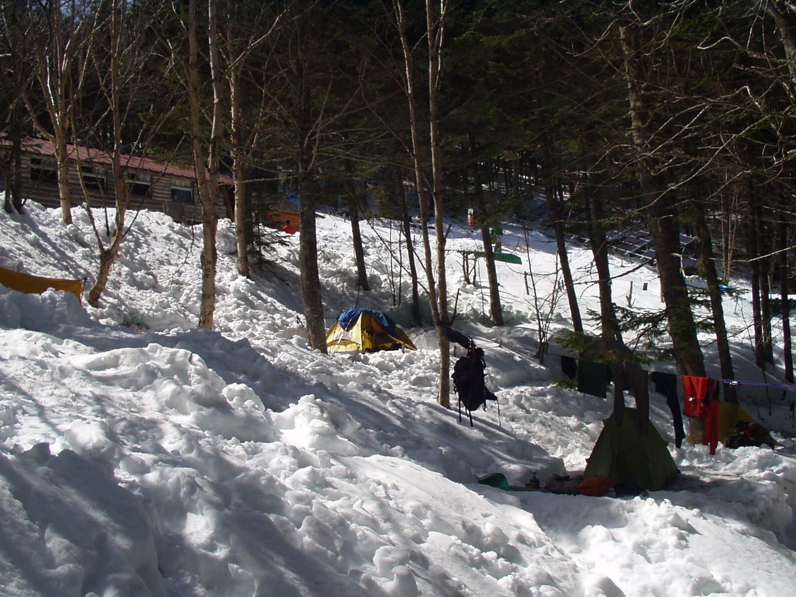d0023622_2053432.jpg
