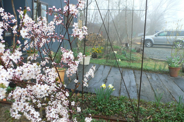f0226226_1253849.jpg