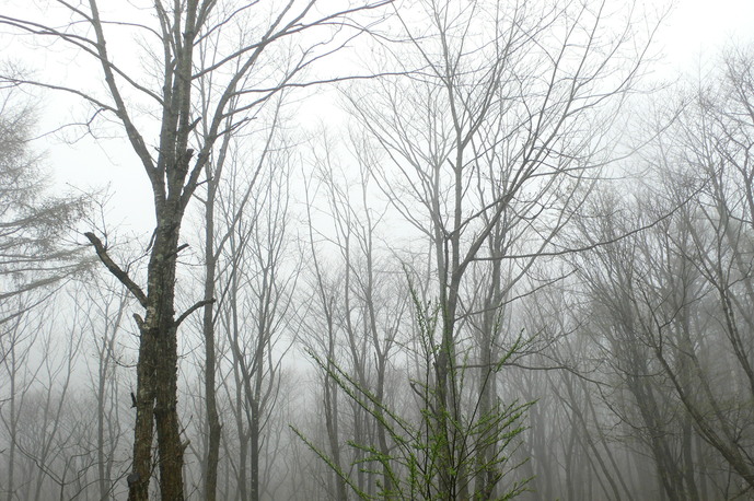 f0226226_12541395.jpg